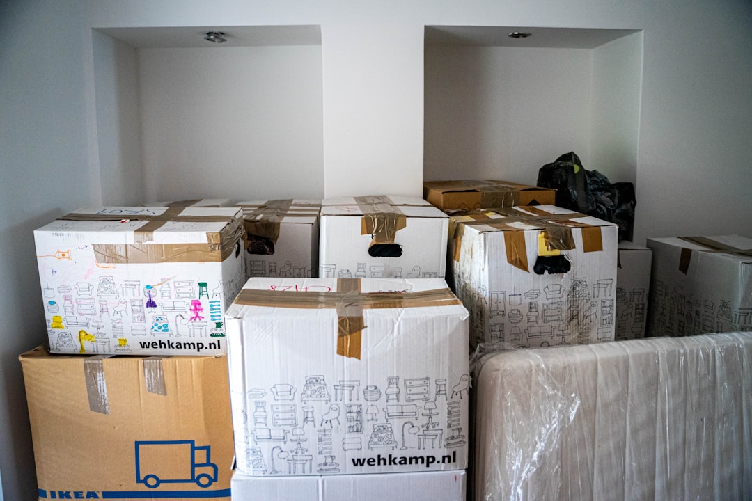 Vaciados completados en Torelló: resultados visibles