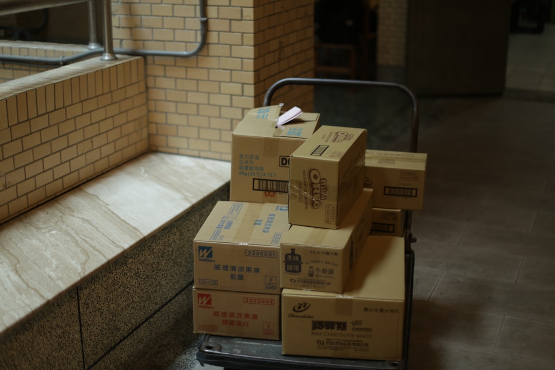 Vaciados completados en Vilanova del Camí: resultados visibles